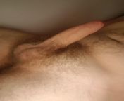 Always wake up with a massive hard cock when i sleep naked, who can help me out? from quickly cock inside pussy sleep