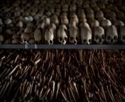 We never learn from genocide - April to July 1994, 99 days, between 500,000 - 1,100,000 Rwandans died during the Rwandan Genocide from somali rwandans