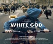 White God (2014) from Чернобыль 9она отчуждения анонсы 2014