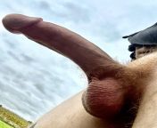 Whos trying to get fucked in the corn field? from bengali randi gangbang fucked in field audio