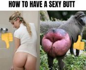 How to have a sexy butt as an ape from ape tube