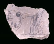 A limestone ostracon with a representation of a sex scene. It dates to the 19th Dynasty (circa 1295-1186 BCE) or the 20th Dynasty (circa 1186-1070 BCE) of the New Kingdom. from dynasty series