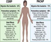 CGRP and PACAP are both involved in the pathophysiology of migraine. Image shows clinical symptoms caused by CGRP and PACAP infusions. Both CGRP and PACAP cause migraine-like headache in about 2/3 of migraine patients. PACAP causes more prodrome symptomsfrom 常州市找美女服务微信1646224真实上门服务常州市那条街有小妹做服务▷常州市约美女找服务 cgrp