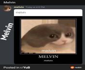 I will join praise melvin too from vic fabe melvin