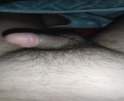 Are there any small, hairy and uncut penis lovers around? from vidoessexdian village gay uncut penis photopak comgla video chuda