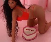 cakes from httpswwwcompornstarbooty cakes
