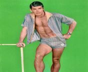 Gay Vintage - Van Williams - 1960s - Mens Fashion - Swimwear - TV - Hairy - Bulge from xxx sun tv hairy aun