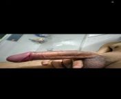 Big fat Indian cock ready to cum from big fat indian aunty nude pictures 1af44