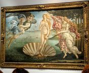 Birth of Venus by Botticelli. ~1480 CE, Florence, Italy (3202 x 2298) [OC] from 柳州哪里有小姐上课服务█qq 259686539█柳州小妹约炮上门服务█qq 259686539█柳州网红约炮妹子约炮▷柳州叫学生妹包夜服务 2298