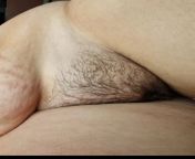 Quite hairy pussy from hairy gey sex