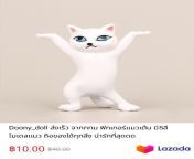 Doony_doll Fast delivery from Bangkok. Dancing cat figure. There are 5 colors. Cat model can hold everything. the cutest If interested, click the link. https://c.lazada.co.th/t/c.bfy9rH?url=https%3A%2F%2Fwww.lazada.co.th%2Fproducts%2Fdoony_doll-5-i2387976 from tirana lanexxx co