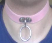 Got myself a pink collar for future listening still baic playlist 1,2,3 and 10 from and 10 sal k
