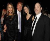 Whatever you do, dont share this photo of Trump and Harvey Weinstein together. from ariel and harvey