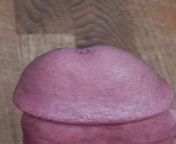 Another close up penis tip with a little pre cum at the tip ? from close up penis hole