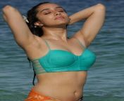 Sharddha Kapoor navel in cyan blouse from sharddha kapoor real nude xxx hd sex images