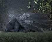 I&#39;ve just finished my fantasy CGI animated short (link in comments). This black gryphon is one of the protagonists. from fantasy girls animated bod