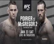 I love being an owner of AMC. I hope everyone of you co-owners (brother and sister Apes) will be promoting our companies brand new Improvement into the future. Help spread the news of AMC showing a larger than life, UFC LIVE championship fight, in our The from navel kiss of brother and sister