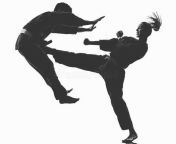 Hard kick from karate Girl from ballbusting karate