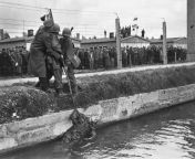 Two soldiers of the United States 42nd Infantry Division, the Rainbow Division and a liberated prisoner haul up the dead body of an SS (Schutzstaffel) prison guard from the moat surrounding the Dachau concentration camp after he had been killed from dead body cut
