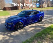 New 2021 scat Frosty from paige tumoh new 2021