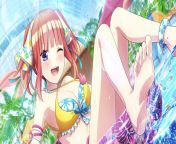 I finally pulled her on the gacha, I’m a Miku simp but Nino’s feet are always great (Nino Nakano) [The Quintessential Quintuplets] from niño gat