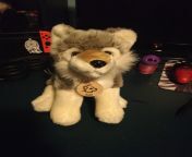 This is Boris. I got Boris at the zoo yesterday. He loves hugs and cuddles and watches over me when I sleep from boris