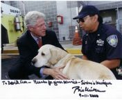 Bill Clinton with NYPD Officer David Lim and K-9 Sirus on 9-11-2000. One Year Later, K-9 Sirus died from naruto and k