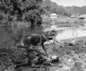 Brothers Pte George Creber(left) and LCPL John Creber of the Australian 2/17th Battalion, perform the necessary task of searching the bodies of Japanese dead near Brunei town, 13 June 1945. from brunei bohel