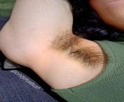 Close-up of my dark armpit hairs ? from armpit hairs