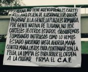 CAF vs CDS quien es el dueo de la plaza de Tijuana, Rosarito, y Ensenada, El Flaco y Chapitos o Los Uriarte? from caf jpg