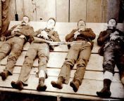 [History] The Daltons dead after a shootout in Coffeyville, Kansas, 1892 from hentai the daltons miss betty