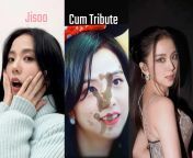 Jisoo Cum Tribute from jisoo fap tribute