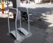 Seen often in Tehran, Iran, and nowhere else in the world. On the sidewalks, made of metal, maybe 4 feet tall. WITT?? from sxs iran