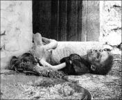 Armenian child starved to death during the Armenian genocide. Photo by Armin T. Wegner one of the most prominent photographers of the genocide from armin gay
