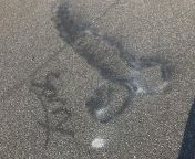 My bf&#39;s brother drew a dick in his road with a makeshift flame torch and couldn&#39;t get it out so he just wrote sorry next to it. Now there is a random dick in the road with &#34;sorry&#34; right under it. from mudumalai road attc