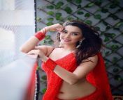 Esshanya Maheshwari navel in red saree from bhabi in red saree sex