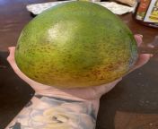 (ITP) of this Absolute unit of a mango. from mango shake