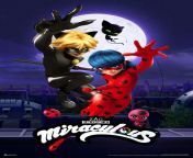 [M4AplayingF] Looking to do a roleplay based off Miraculous Ladybug! (Cat Noir and Ladybug being aged up here!) I&#39;d love to hear your plots if you have some but I have some too! Kinks and limits are on my profile, just tell me if you want the plot tofrom cat noir