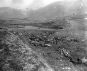 Approximately 40 Japanese soldiers who committed suicide to avoid capture by US forces. Attu Island, Alaska. 31 May, 1943 [54454449] from japanese love story 201