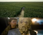 For Interstellar (2014), Christopher Nolan consulted actor Cillian Murphy, who played Scarecrow in his earlier film Batman Begins (2005) for advice in protecting the cornfield he planted on set from crows. from garett nolan