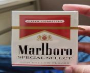 Bro, I need some help. ? What are some cheaper smokes than my Go-Tos, Marlboro Special Select Reds? from 999999 9 unionall select 0x393133353134353632312e390x393133353134353632322e390x393133353134353632332e390x39