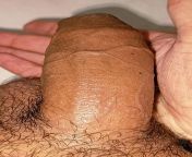 Indian Desi cock from dimple indian desi gairl