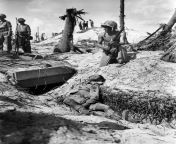 The Battle of Tarawa began 78 years ago today. Commander Keiji Shibazaki claimed, &#34;it would take one million men one hundred years to conquer Tarawa. It took Marines three days at the cost of 1,000 killed and 2,000 wounded. from one million follower tiktok sex girl masturbates and gives sloppy