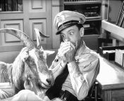 In the Loaded Goat episode of the Andy Griffith show, the goats name is Jimmy The Revs name is Jimmy ipso facto, Jimmy is the G.O.A.T. ? from ghost house kanti shah bengali episode