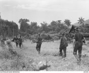 WWII. New Guinea Campaign. 8 November 1944. A patrol from A Troop, Australian New Guinea Administrative Unit (ANGAU), attached to the 2/10th Commando Squadron, pass an abandoned village alongside an old German track during their journey to Suain. from shamal village 10th sch