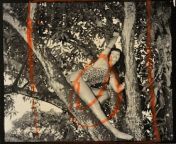 Original Bettie Page Jungle Girl Photograph by Bunny Yeager Contact Sheet Never Published Collection Jim Linderman from jungle girl bathing girls