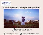 ICAR Approved Colleges in Rajasthan from rajasthan vlogger dimpal sharma