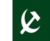 flag of pakistan but what the fuck from pakistan pashto doctor sex fuck com