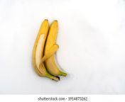 Day 33 of posting bananas in snow from images off of google until I run out of images from www google xxx kannada heroin amulya sex images co ini girl