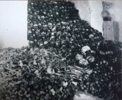 Skulls and bones of thousands of people that died during the 1944-1945 famine in Vietnam, it is estimated that around 400k and 2mil Vietnamese people starve to death in that period from vietnam